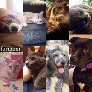 Meet your Posher, Kerry